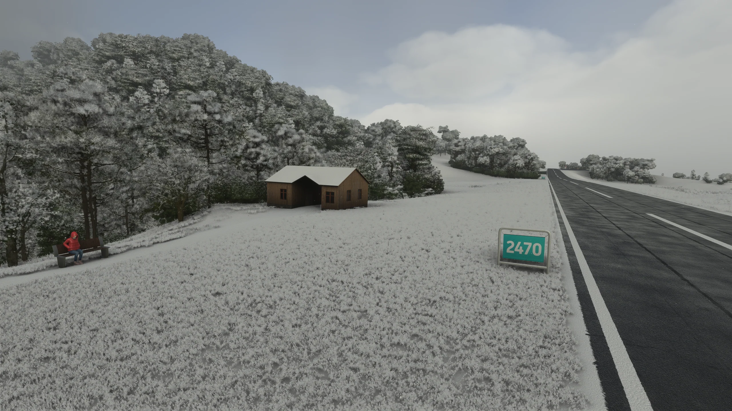 Thumbnail 12