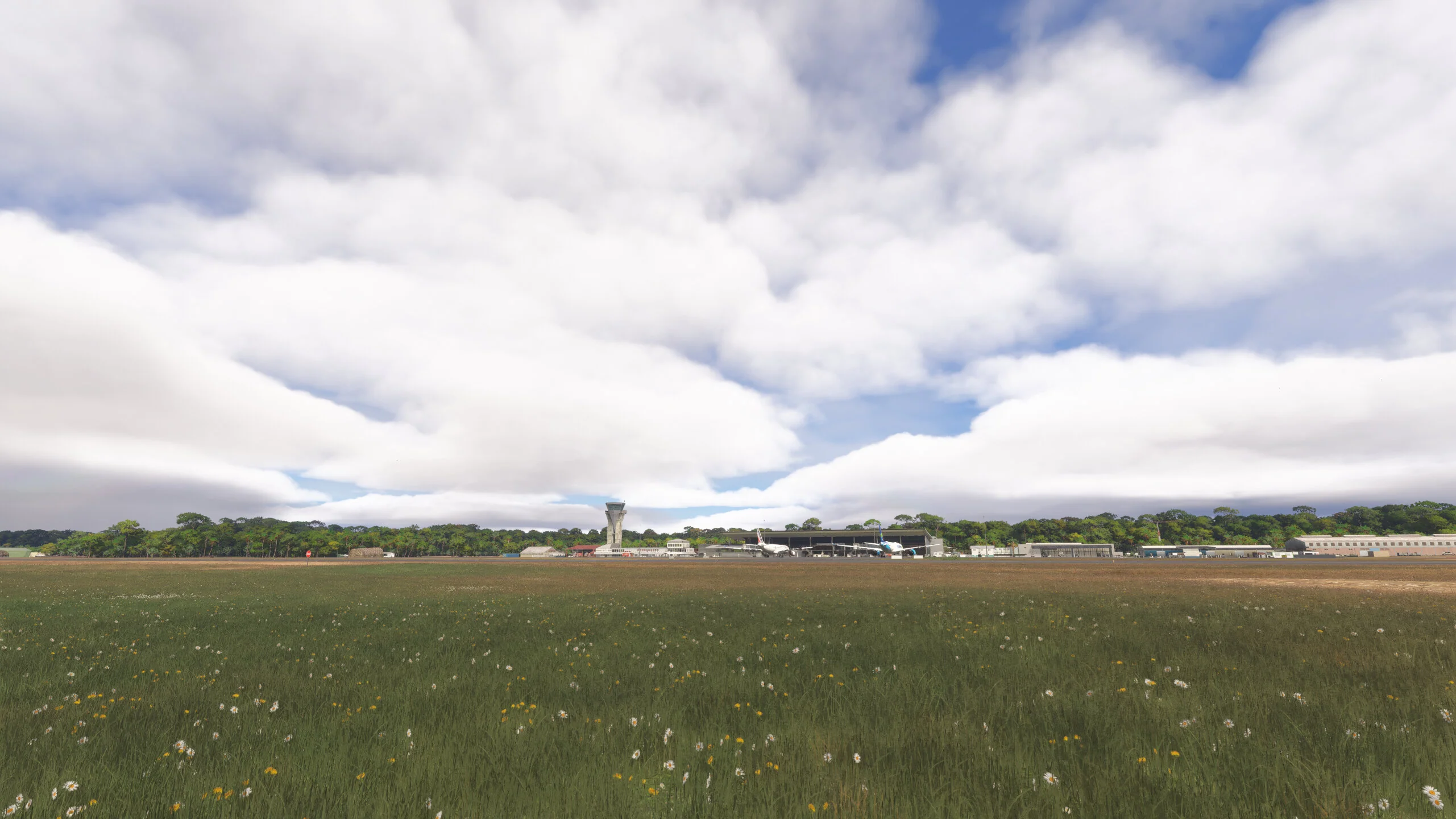 Thumbnail 14